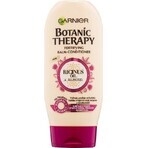 Garnier BOTANIC THERAPY OLIO DI RICINO 1×200 ml, balsamo per capelli