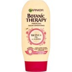 Garnier BOTANIC THERAPY OLIO DI RICINO 1×200 ml, balsamo per capelli