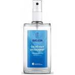 WELEDA Deodorante alla salvia 1×200 ml, deodorante, ricarica - senza spray