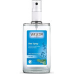 WELEDA Deodorante alla salvia 1×200 ml, deodorante, ricarica - senza spray