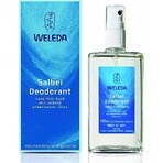 WELEDA Deodorante alla salvia 1×200 ml, deodorante, ricarica - senza spray