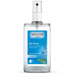 WELEDA Deodorante alla salvia 1×200 ml, deodorante, ricarica - senza spray