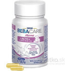 BEBACARE Fenegriek Mama Lacto+ 1×28 stuks, voedingssupplement voor moeders die borstvoeding geven