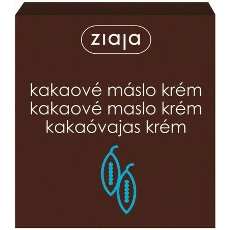 Ziaja - crème nourrissante au beurre de cacao 1×50 ml, crème pour la peau