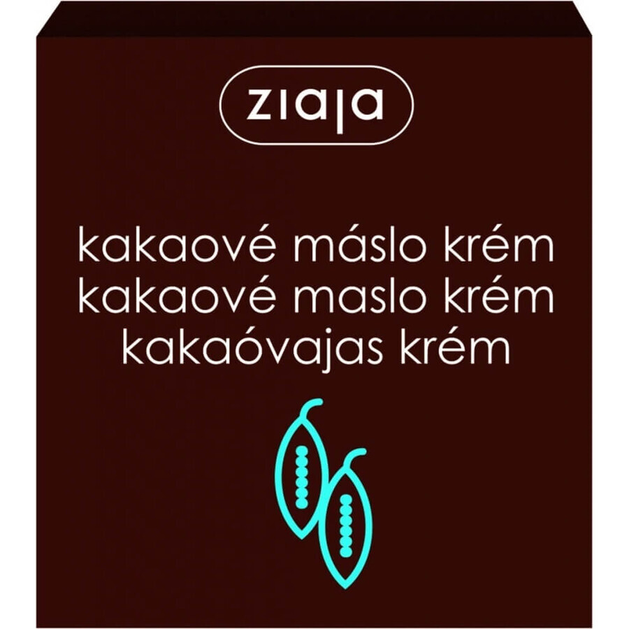 Ziaja - crème nourrissante au beurre de cacao 1×50 ml, crème pour la peau