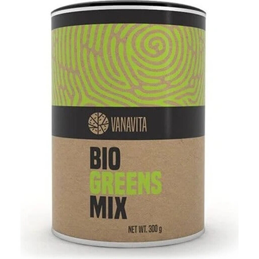 GYMBEAM VANAVITA BIO GREENS MIX 1×300g, groene superfoodmix