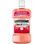 LISTERINE® SMART RINSE™ Bacău mondwater 1×500 ml, mondwater