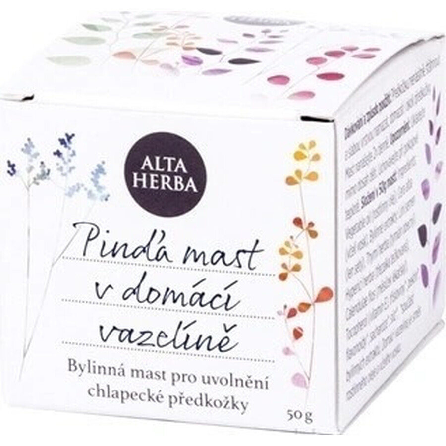 ALTA HERBA Acne Ointment 1×50 g, ointment