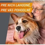 FRONTPRO® antiparasitaire kauwtabletten voor honden (25-50 kg) 1×3 tbl, antiparasitaire tabletten