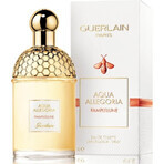 Guerlain Aqua Allegoria Pamplelune Aqua Allegoria Pamplelune Edt 75ml 1×75 ml, Eau de Toilette