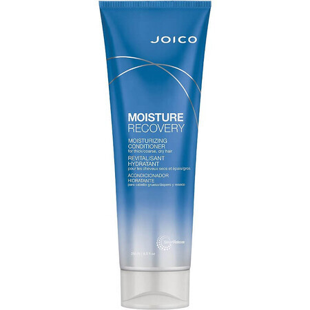 Moisture Recovery Conditioner, 250ml, Joico