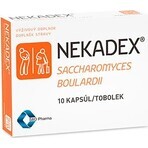 NEKADEX 1×20 cps, food supplement