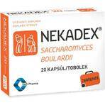 NEKADEX 1×20 cps, food supplement