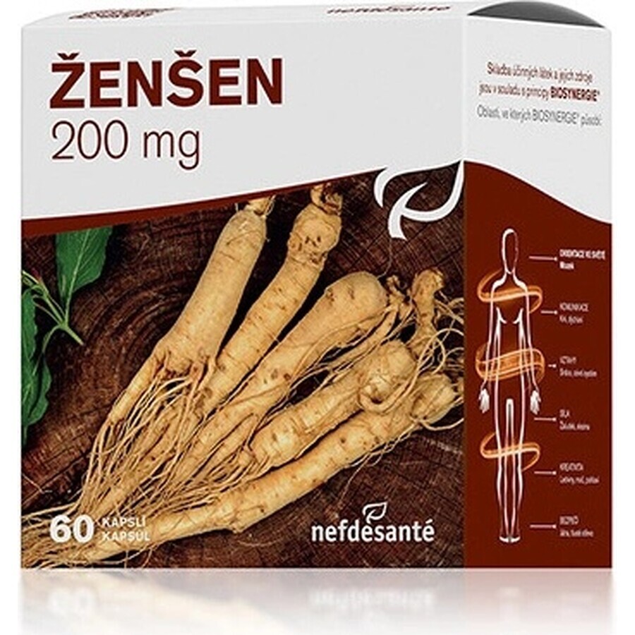 nefdesanté ŽENŠEN 200 mg 6×10 cps, voedingssupplement