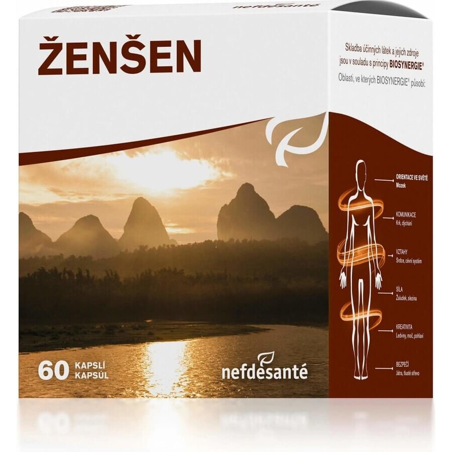 nefdesanté ŽENŠEN 200 mg 6×10 cps, voedingssupplement