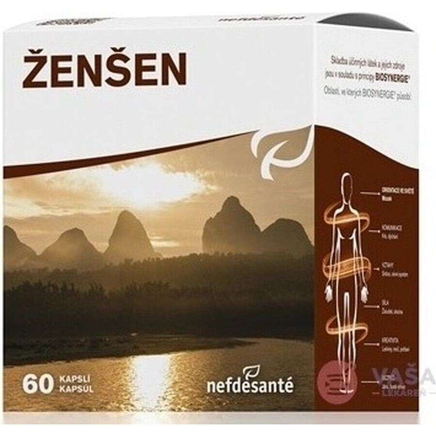 nefdesanté ŽENŠEN 200 mg 6×10 cps, voedingssupplement