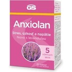 GS Anxiolan met lavendel 30 tabletten 1×30 tbl, voedingssupplement