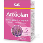 GS Anxiolan met lavendel 30 tabletten 1×30 tbl, voedingssupplement