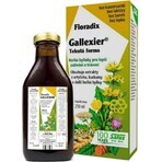 SALUS Floradix Gallexier 1×250 ml, vloeibare vorm