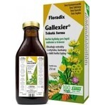 SALUS Floradix Gallexier 1×250 ml, vloeibare vorm