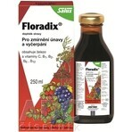 SALUS Floradix Gallexier 1×250 ml, vloeibare vorm