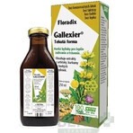 SALUS Floradix Gallexier 1×250 ml, vloeibare vorm