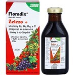 SALUS Floradix Gallexier 1×250 ml, vloeibare vorm