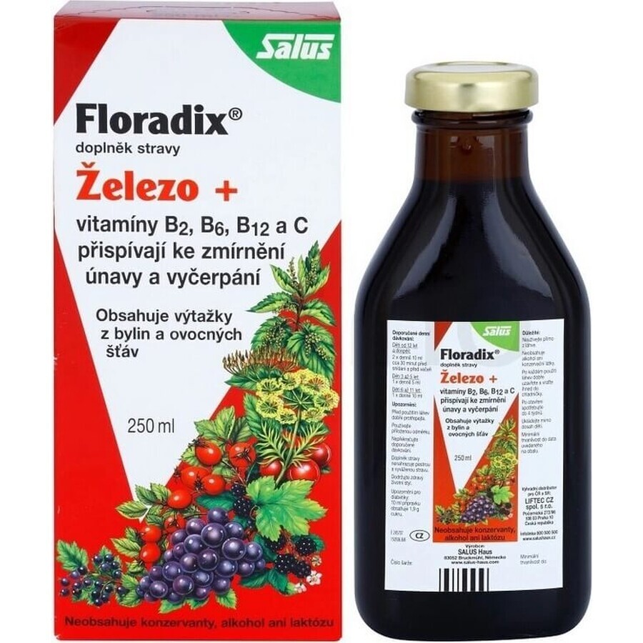 SALUS Floradix Gallexier 1×250 ml, vloeibare vorm