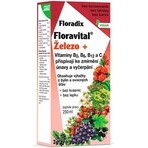 SALUS Floradix Gallexier 1×250 ml, vloeibare vorm