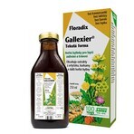 SALUS Floradix Gallexier 1×250 ml, vloeibare vorm