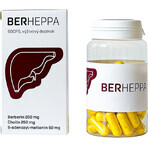 Berheppa 1×60 cps, voedingssupplement