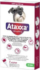 Ataxxa 1250 mg/250 mg (honden van 10 kg tot 25 kg) 1&#215;2,5 ml, oplossing voor honden