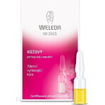 Olio per il viso WELEDA ROSE in fiale 7×0,8 ml, olio per il viso in fiale