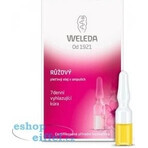 Olio per il viso WELEDA ROSE in fiale 7×0,8 ml, olio per il viso in fiale