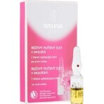 Olio per il viso WELEDA ROSE in fiale 7×0,8 ml, olio per il viso in fiale