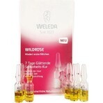 Olio per il viso WELEDA ROSE in fiale 7×0,8 ml, olio per il viso in fiale