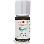 HANUS SILICA CEDAR 1×10 ml essential oil