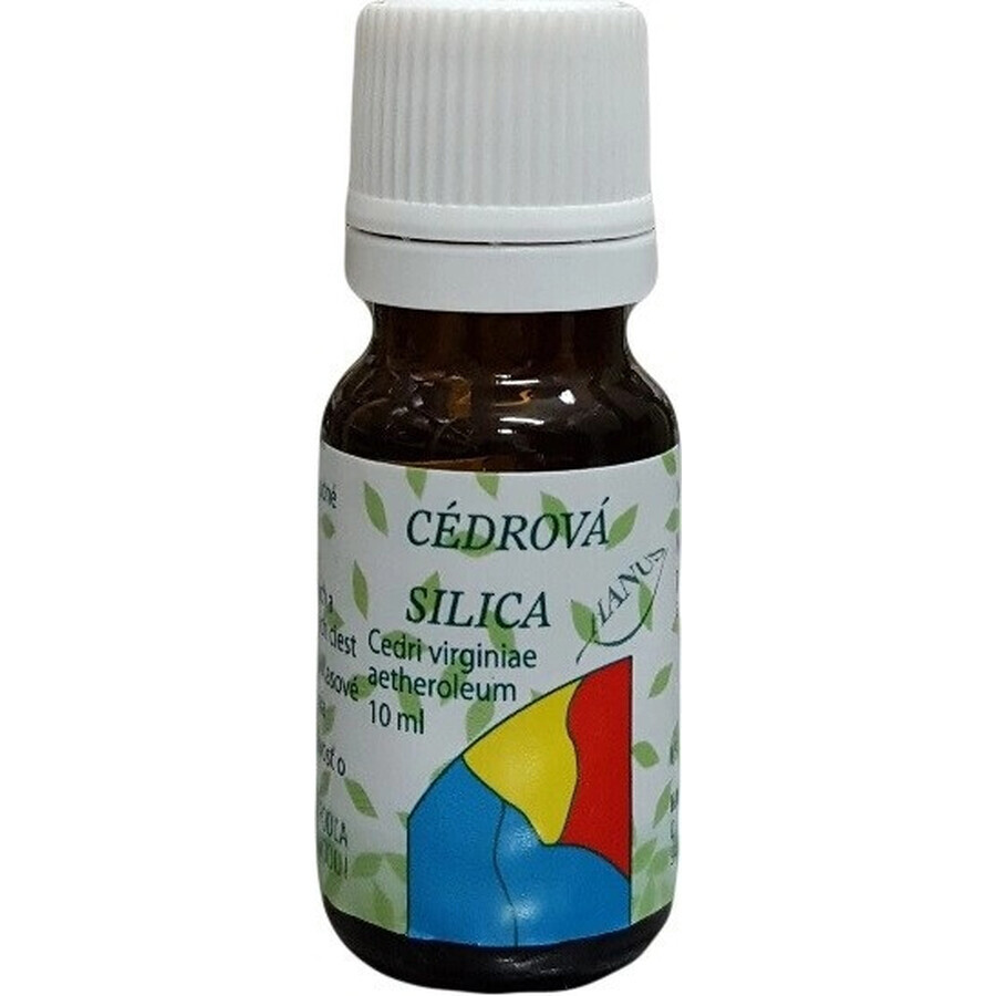 HANUS SILICA CEDAR 1×10 ml essential oil