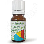 HANUS SILICA CEDAR 1×10 ml essential oil