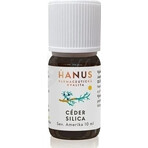 HANUS SILICA CEDAR 1×10 ml essential oil