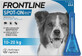 FRONTLINE spot-on for DOG M 3 x 1,34 ml 3x1,34 ml, oplossing voor honden