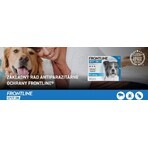 FRONTLINE spot-on for DOG M 3 x 1,34 ml 3x1,34 ml, oplossing voor honden