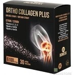 ORTHO COLLAGEN PLUS sachets 1x30 pcs