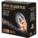 ORTHO COLLAGEN PLUS sachets 1x30 pcs