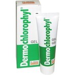 Dr. Müller DERMO CHLOROPHYL GEL 1×50 ml, gel per la pelle