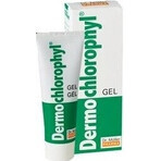 Dr. Müller DERMO CHLOROPHYL GEL 1×50 ml, gel per la pelle