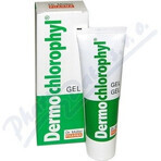 Dr. Müller DERMO CHLOROPHYL GEL 1×50 ml, gel per la pelle