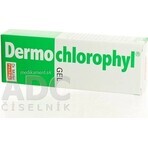 Dr. Müller DERMO CHLOROPHYL GEL 1×50 ml, gel per la pelle