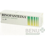 RINOPANTEINA Unguent nazal 1×10 g, unguent