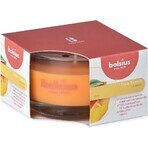 Bolsius Aromatic 2.0 Sticlă lumânare parfumată Mango 1×1 buc, dimensiune 80 x 50 mm